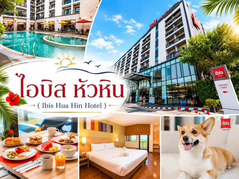 40 ที่พักหัวหินหมาพักได้ 2569 ติดทะเล พูลวิลล่า หมาใหญ่พักได้ | Pet Friendly Hua Hin