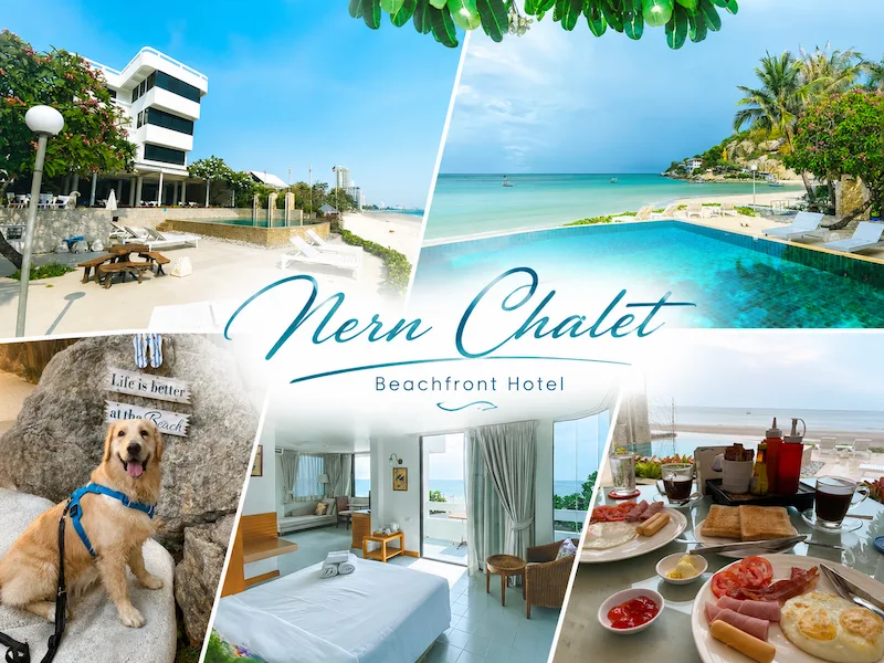 40 ที่พักหัวหินหมาพักได้ 2569 ติดทะเล พูลวิลล่า หมาใหญ่พักได้ | Pet Friendly Hua Hin