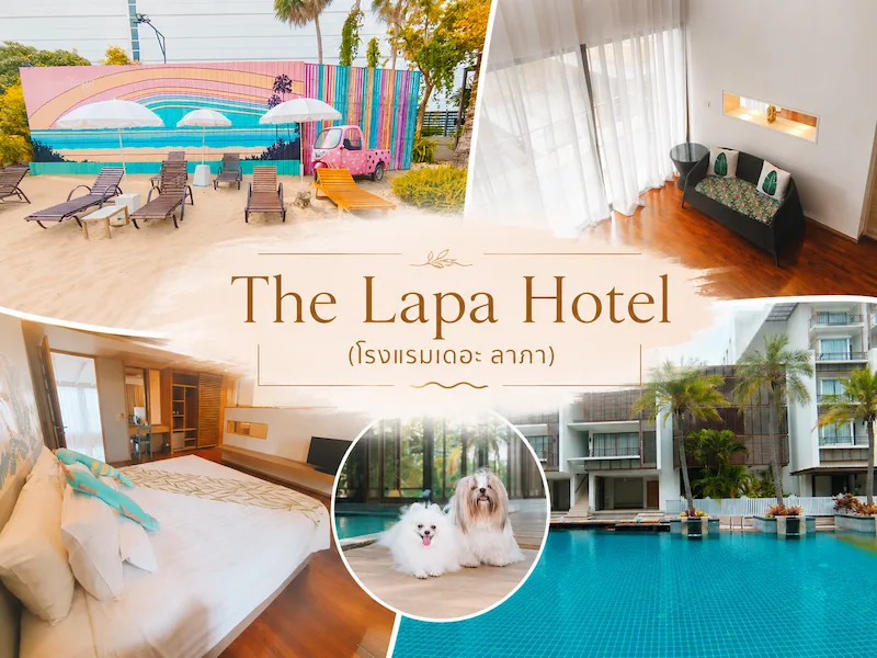 40 ที่พักหัวหินหมาพักได้ 2569 ติดทะเล พูลวิลล่า หมาใหญ่พักได้ | Pet Friendly Hua Hin