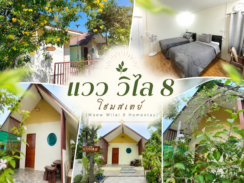 10 ที่พักหมาพักได้ ในตัวเมืองบุรีรัมย์ หมาใหญ่พักได้ ใกล้สนามช้าง อัปเดต