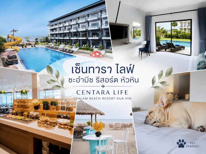 40 ที่พักหัวหินหมาพักได้ 2569 ติดทะเล พูลวิลล่า หมาใหญ่พักได้ | Pet Friendly Hua Hin