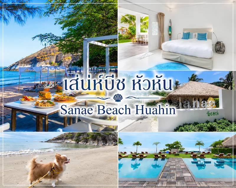 40 ที่พักหัวหินหมาพักได้ 2569 ติดทะเล พูลวิลล่า หมาใหญ่พักได้ | Pet Friendly Hua Hin