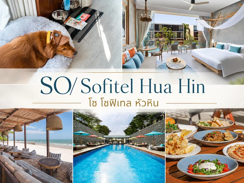 40 ที่พักหัวหินหมาพักได้ 2569 ติดทะเล พูลวิลล่า หมาใหญ่พักได้ | Pet Friendly Hua Hin