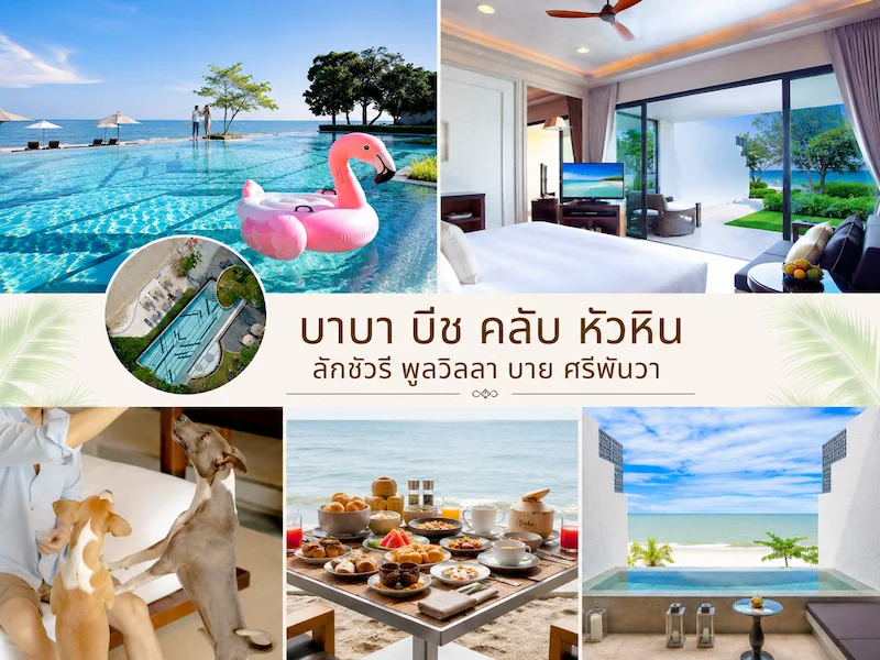 40 ที่พักหัวหินหมาพักได้ 2569 ติดทะเล พูลวิลล่า หมาใหญ่พักได้ | Pet Friendly Hua Hin