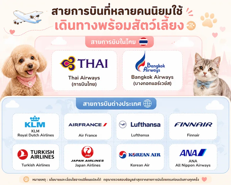 pet-friendly-airlines-thailand.webp