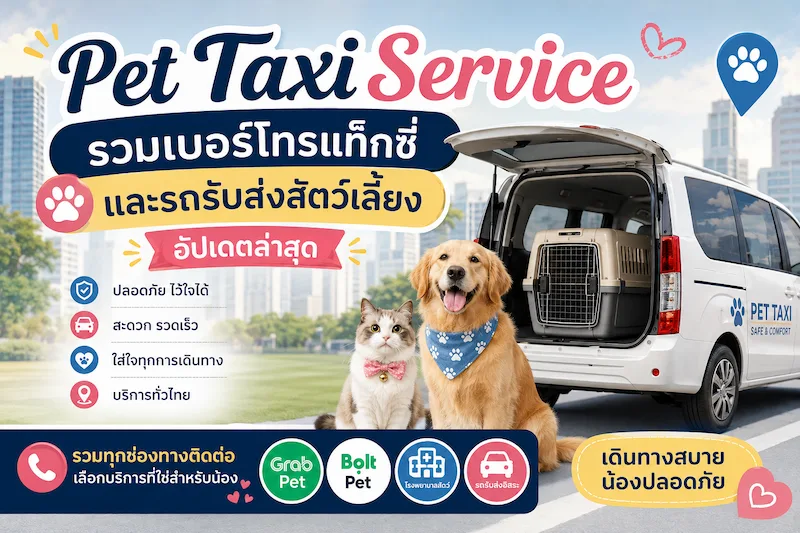 Pet Taxi Service รวมเบอร์โทรรถรับส่งสัตว์เลี้ยง หมาแมว อัปเดต 2569