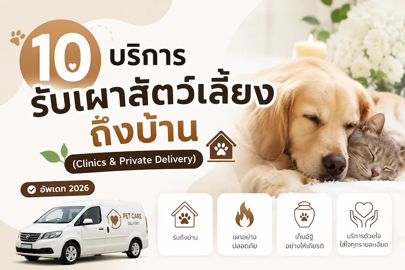 10 บริการรับเผาสัตว์เลี้ยงถึงบ้าน (Clinics & Private Delivery)” ปี 2569
