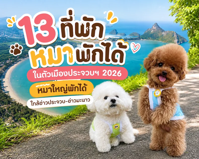 13 ที่พักหมาพักได้ ในตัวเมืองประจวบฯ 2026 หมาใหญ่พักได้ ใกล้อ่าวประจวบ-อ่าวมะนาว