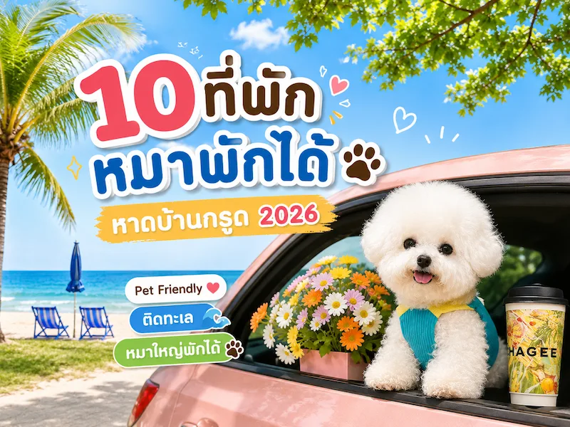 10 ที่พักหมาพักได้ หาดบ้านกรูด 2026 Pet Friendly ติดทะเล หมาใหญ่พักได้