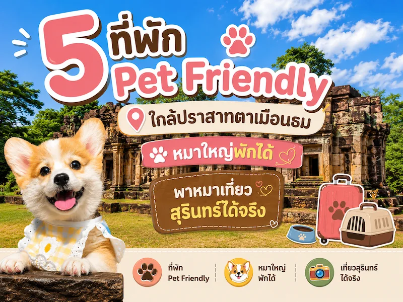 5 ที่พักหมาพักได้ ใกล้ปราสาทตาเมือนธม Pet Friendly สำหรับสายพาหมาเที่ยวโซนสุรินทร์-บุรีรัมย์ อัปเดต 2569
