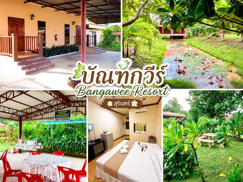 5 ที่พัก Pet Friendly ใกล้ปราสาทตาเมือนธม หมาใหญ่พักได้ พาหมาเที่ยวสุรินทร์ได้จริง
