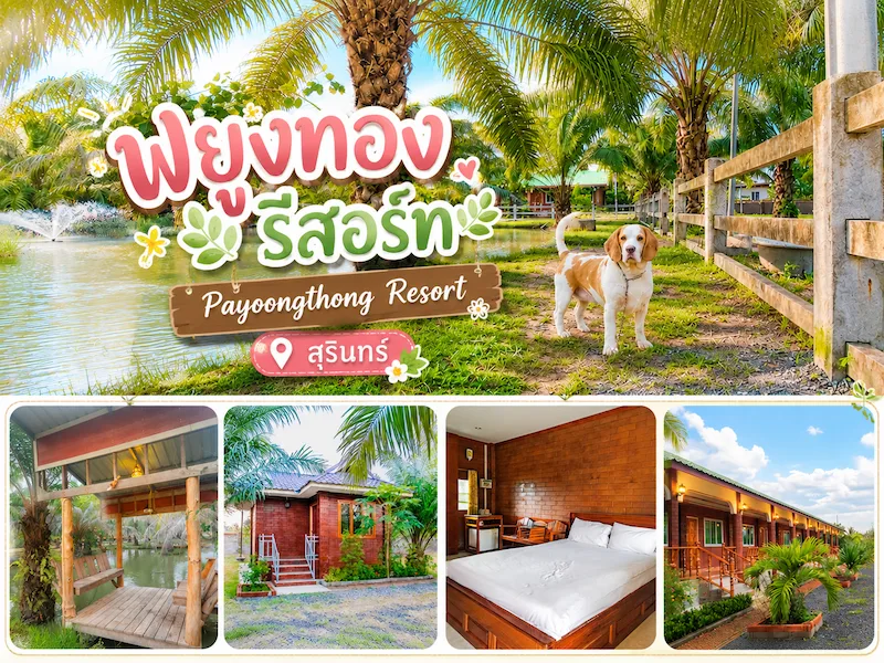 5 ที่พัก Pet Friendly ใกล้ปราสาทตาเมือนธม หมาใหญ่พักได้ พาหมาเที่ยวสุรินทร์ได้จริง