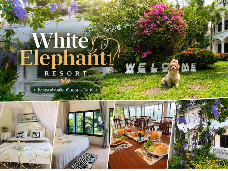 5 ที่พัก Pet Friendly ใกล้ปราสาทตาเมือนธม หมาใหญ่พักได้ พาหมาเที่ยวสุรินทร์ได้จริง