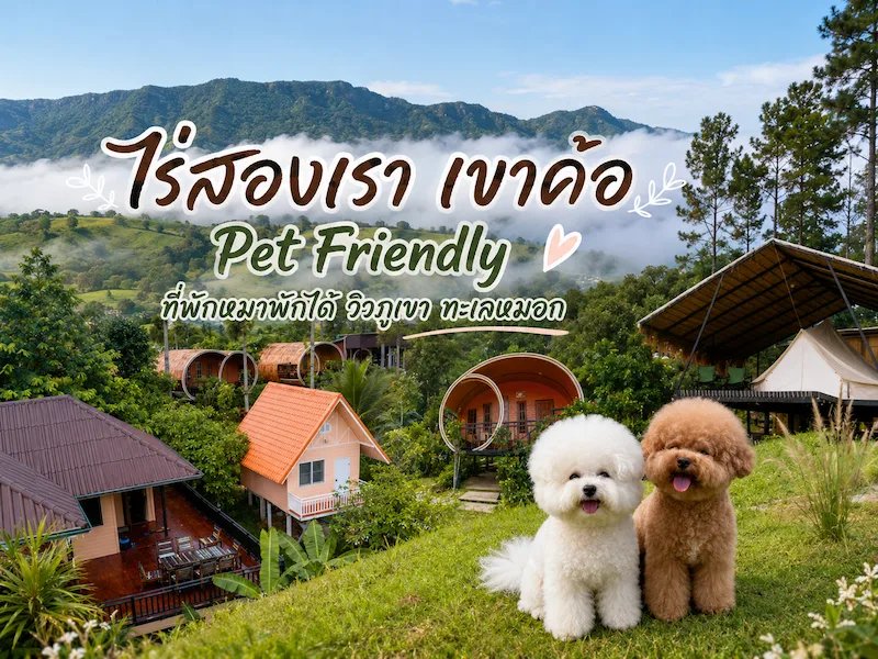 ไร่สองเรา เขาค้อ Pet Friendly ที่พักหมาพักได้ วิวภูเขา ทะเลหมอก