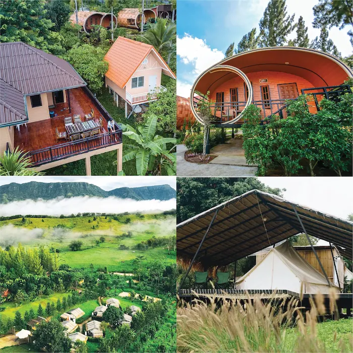 ไร่สองเรา เขาค้อ Pet Friendly ที่พักหมาพักได้ วิวภูเขา ทะเลหมอก