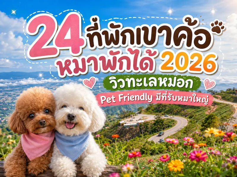 24 ที่พักเขาค้อหมาพักได้ 2026 วิวทะเลหมอก Pet Friendly มีที่รับหมาใหญ่