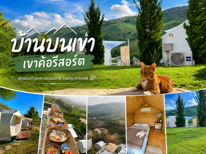 24 ที่พักเขาค้อหมาพักได้ 2026 วิวทะเลหมอก Pet Friendly มีที่รับหมาใหญ่