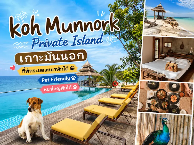 Koh Munnork Private Island เกาะมันนอก ที่พักระยองหมาพักได้ Pet Friendly หมาใหญ่พักได้
