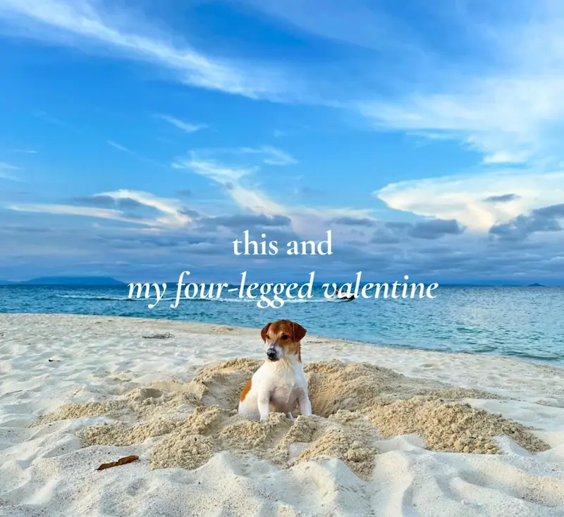 Koh Munnork Private Island เกาะมันนอก ที่พักระยองหมาพักได้ Pet Friendly หมาใหญ่พักได้