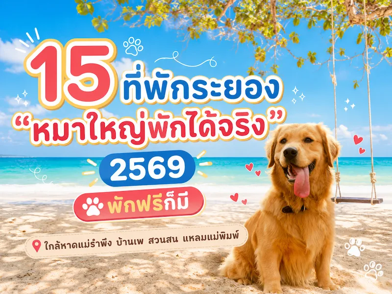 15 ที่พักระยอง “หมาใหญ่พักได้จริง” 2569 พักฟรีก็มี ใกล้หาดแม่รำพึง บ้านเพ สวนสน แหลมแม่พิมพ์
