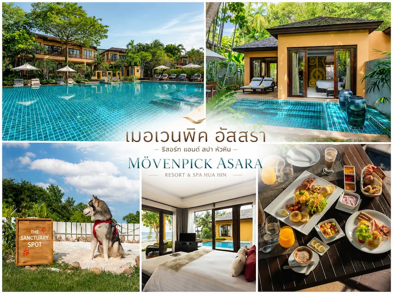 16 ที่พักหัวหินหมาพักได้ 2569 คัดเฉพาะติดทะเลจริง Pet Friendly มีที่รับหมาใหญ่