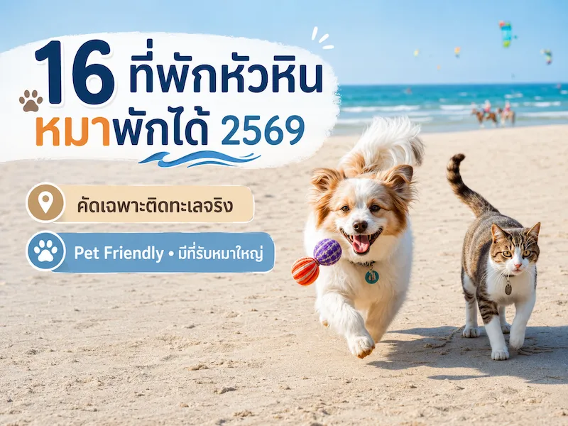 16 ที่พักหัวหินหมาพักได้ 2569 คัดเฉพาะติดทะเลจริง Pet Friendly มีที่รับหมาใหญ่