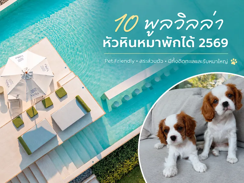 10 พูลวิลล่าหัวหินหมาพักได้ 2569 Pet Friendly สระส่วนตัว มีทั้งติดทะเลและรับหมาใหญ่