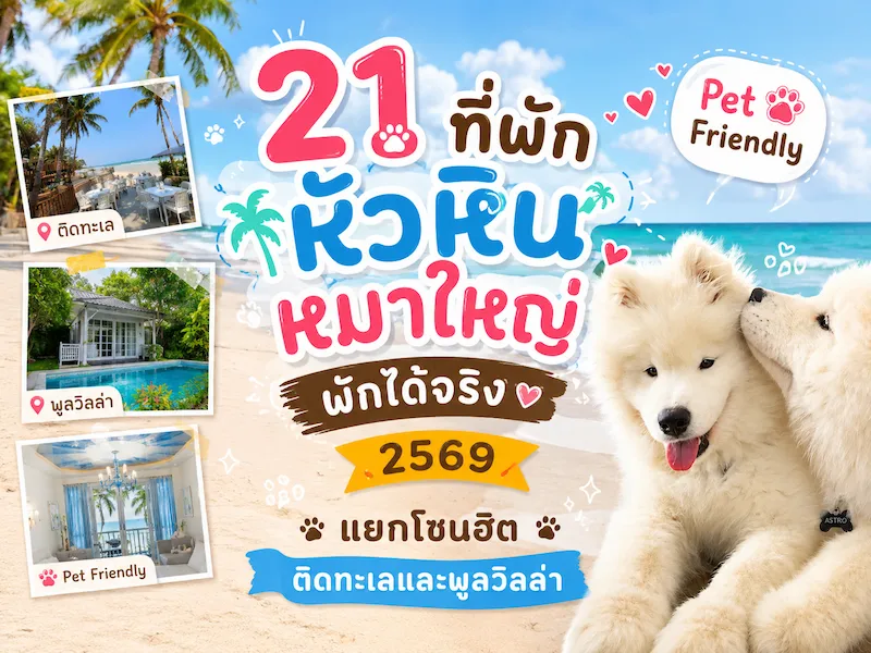 21-hua-hin-big-dog-friendly-hotels-pet-friendly-2026.webp