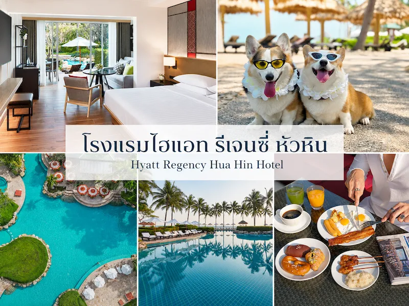 hyatt-regency-hua-hin-pet-friendly-hotel.webp