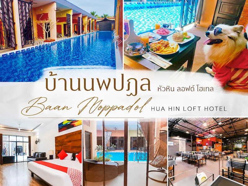 baan-noppadol-huahin-loft-hotel-cover-petfriendly.webp