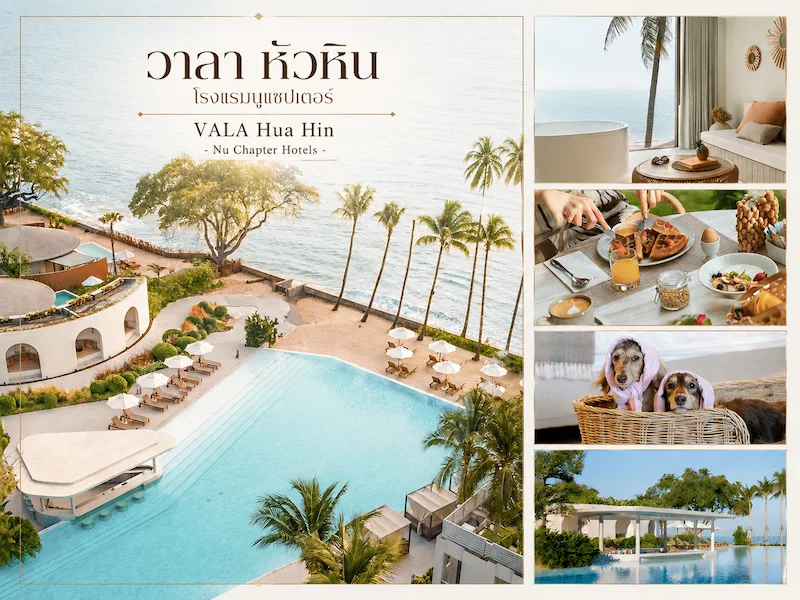 VALA-HuaHin-PetFriendly-Escape.webp