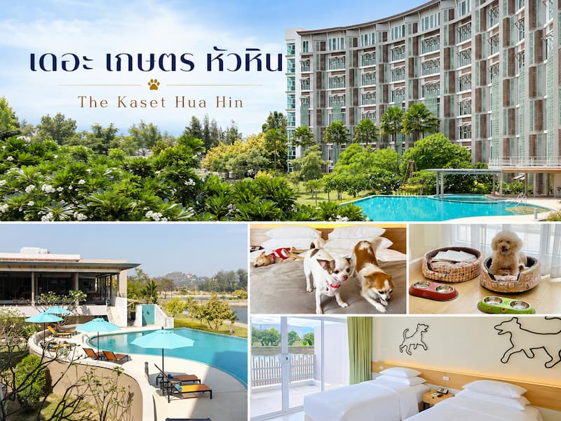 the-kaset-hua-hin-pet-friendly-hotel.jpg