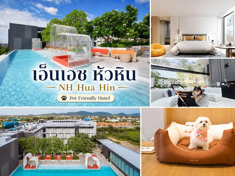 40 ที่พักหัวหินหมาพักได้ 2569 ติดทะเล พูลวิลล่า หมาใหญ่พักได้ แยกโซนเที่ยวฮิต