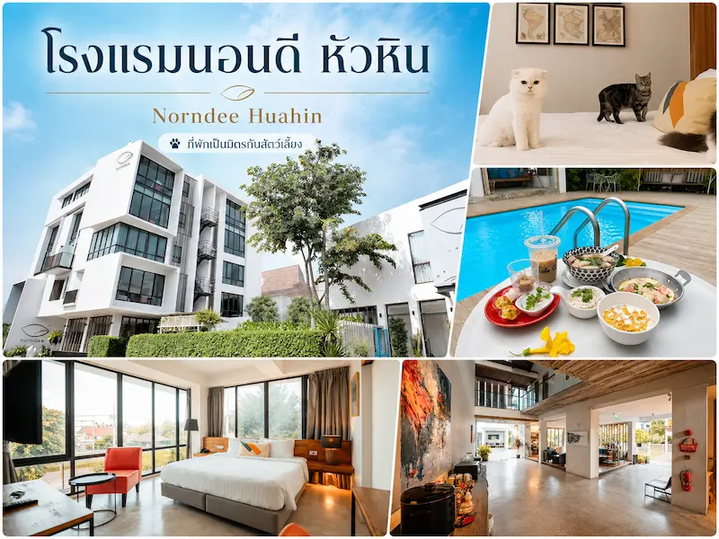 40 ที่พักหัวหินหมาพักได้ 2569 ติดทะเล พูลวิลล่า หมาใหญ่พักได้ แยกโซนเที่ยวฮิต