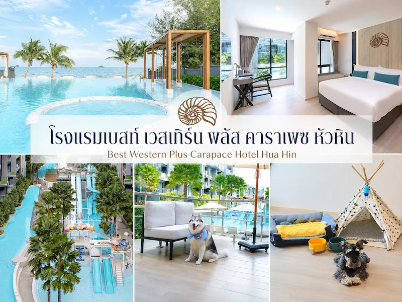 40 ที่พักหัวหินหมาพักได้ 2569 ติดทะเล พูลวิลล่า หมาใหญ่พักได้ แยกโซนเที่ยวฮิต
