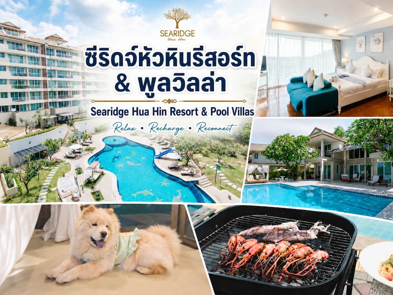 40 ที่พักหัวหินหมาพักได้ 2569 ติดทะเล พูลวิลล่า หมาใหญ่พักได้ แยกโซนเที่ยวฮิต