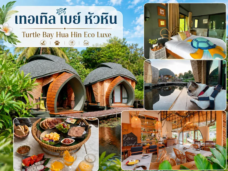 40 ที่พักหัวหินหมาพักได้ 2569 ติดทะเล พูลวิลล่า หมาใหญ่พักได้ แยกโซนเที่ยวฮิต