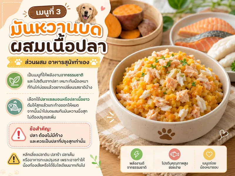 อาหารสุนัขทำเอง 3 เมนูง่าย ๆ เพื่อสุขภาพ พร้อมของต้องห้ามที่ห้ามให้สุนัขกิน