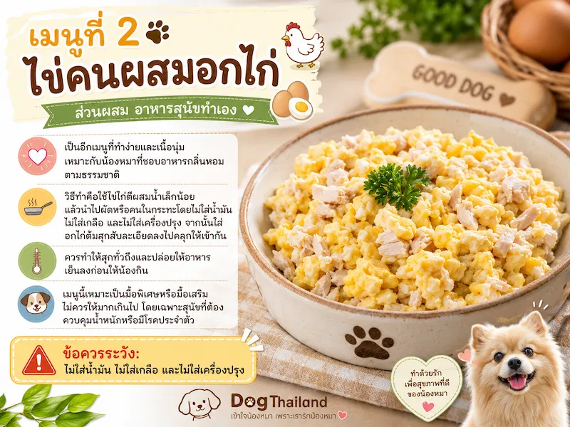 อาหารสุนัขทำเอง 3 เมนูง่าย ๆ เพื่อสุขภาพ พร้อมของต้องห้ามที่ห้ามให้สุนัขกิน