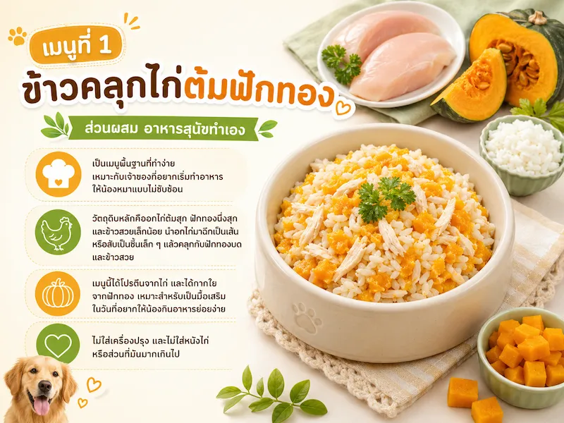 อาหารสุนัขทำเอง 3 เมนูง่าย ๆ เพื่อสุขภาพ พร้อมของต้องห้ามที่ห้ามให้สุนัขกิน