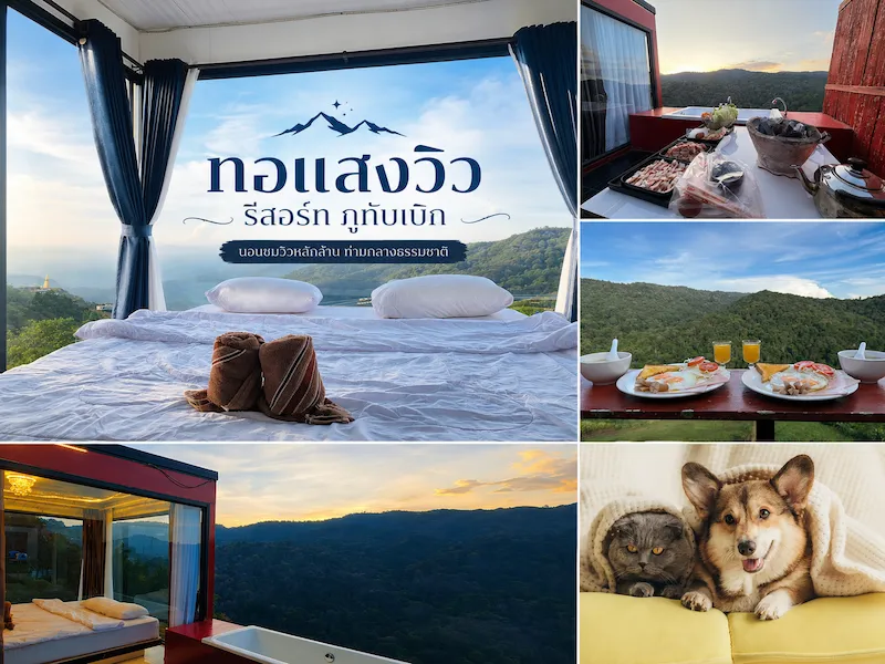 tawansaeng-view-resort-phu-thap-boek-pet-friendly.webp