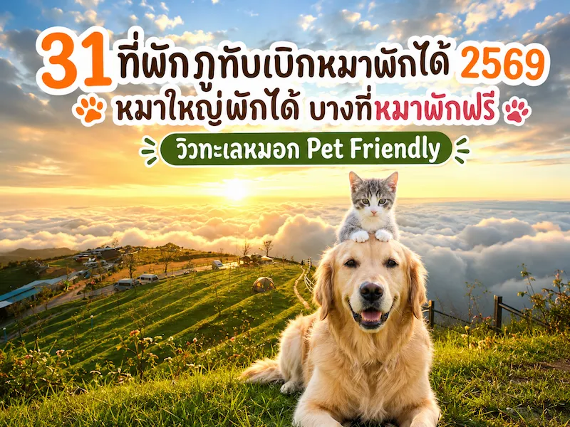 phu-thap-berk-pet-friendly-dog-friendly-accommodation-2026.webp