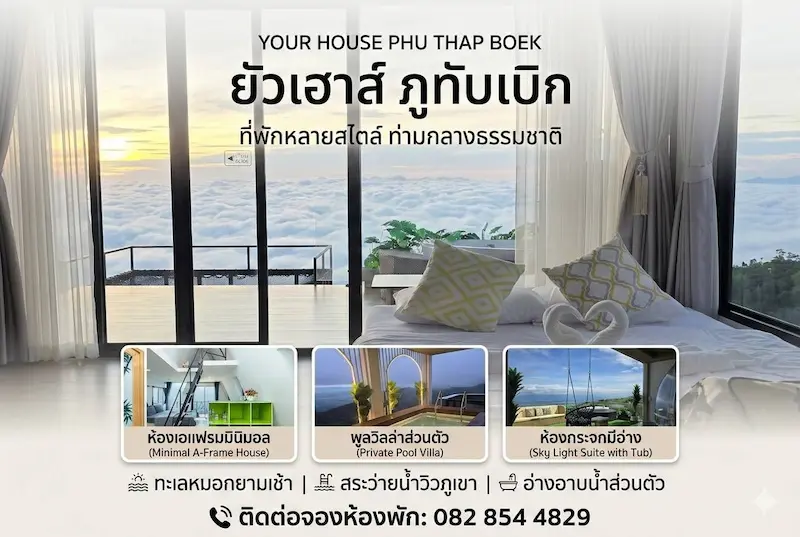 ยัวเฮาส์-ภูทับเบิก -yourhouse-หมาพักได้.webp