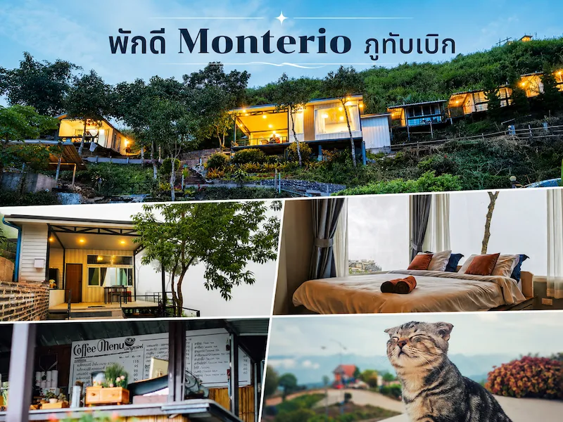 pakdee-monterio-phu-thap-boek-phetchabun-petfriendly.webp