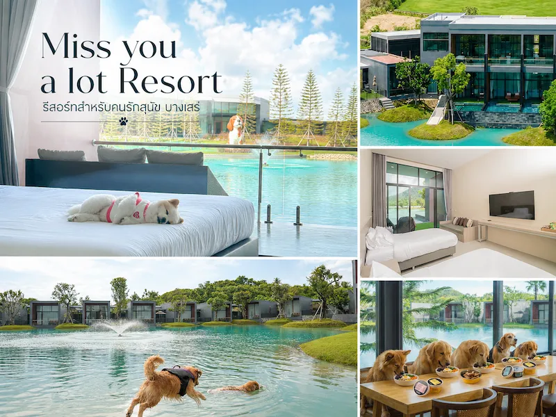 23 ที่พักสัตหีบ หมาพักได้ ติดทะเล Pet Friendly หมาใหญ่พักได้ อัปเดต