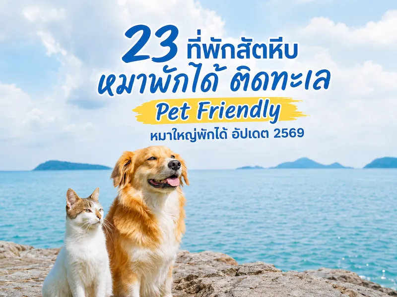 23 ที่พักสัตหีบ หมาพักได้ ติดทะเล Pet Friendly หมาใหญ่พักได้ อัปเดต