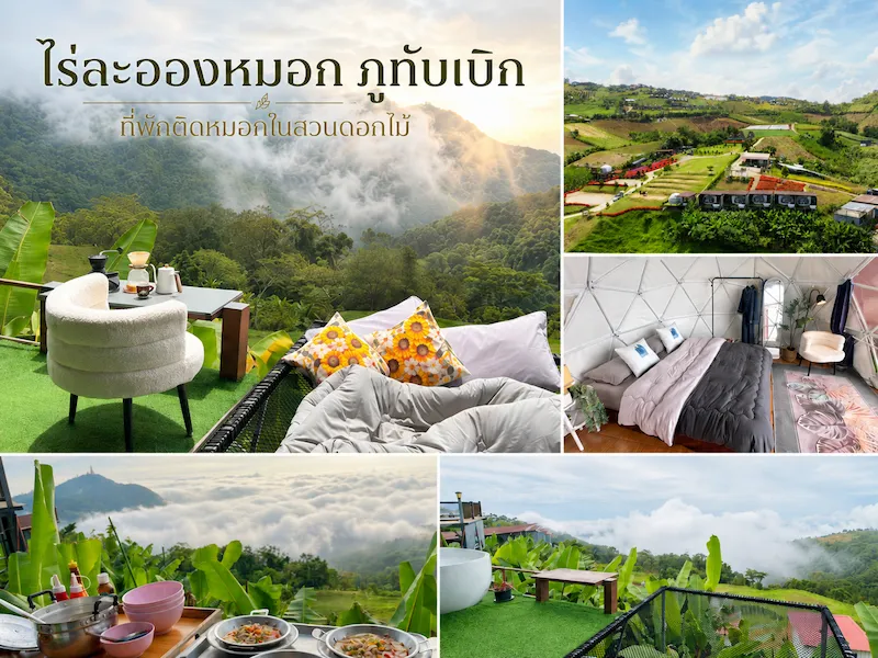 rai-la-ong-mok-phu-thap-boek-petfriendly.webp