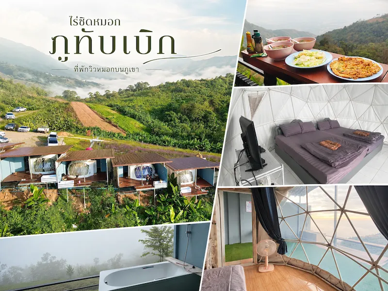 rai-chit-mok-phu-thap-boek-petfriendly.webp