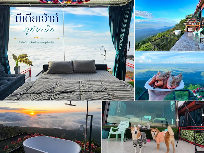 media-house-phu-thap-boek-petfriendly-dog-friendly-hotel.webp