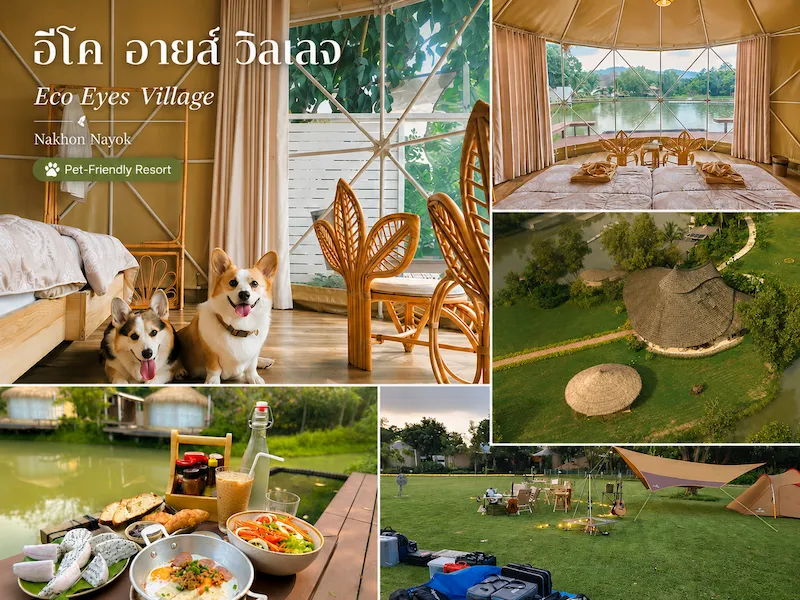 eco-eyes-village-nakhon-nayok-petfriendly.webp